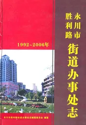 永川市胜利路街道办事处志(1992~2006年)
