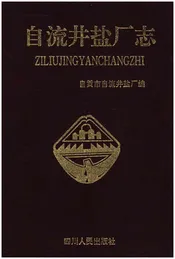 自流井盐厂志