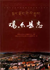 噶尔县志