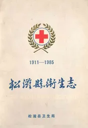 松滋县卫生志(1911-1985)
