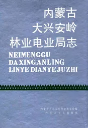 内蒙古大兴安岭林业电业局志