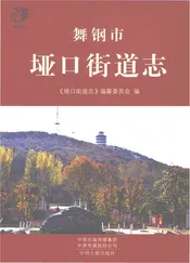 舞钢市垭口街道志