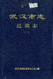 武汉市志 总类志