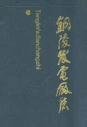 铜陵发电厂志