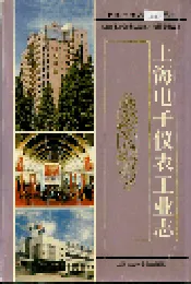 上海电子仪表工业志