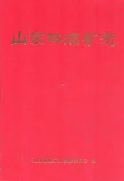 山家林煤矿志