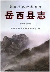 岳西县志 1978-2002