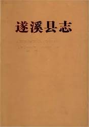 遂溪县志清道光二十八年续修点校本