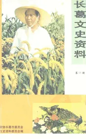 长葛文史资料  第11辑