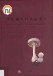 中国鹅膏科真菌图志