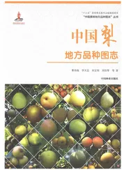 中国梨地方品种图志