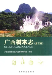 广西树木志(第三卷)
