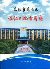 益阳市赫山区泥江口地方简志