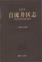 自贡市自流井区志1986-2005