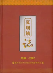 夏坝镇志 1982-2007