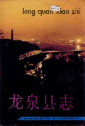 龙泉县志
