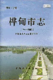 桦甸市志