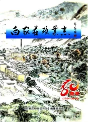 白家庄矿业志