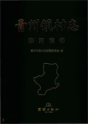 青州镇弥河镇卷村志