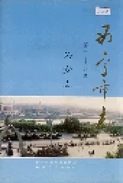 西宁市志 第二十八卷 公安志