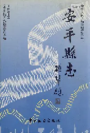 安平县志