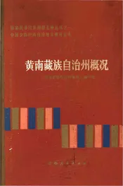 中国少数民族自治地方概况丛书