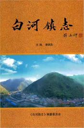 白河镇志
