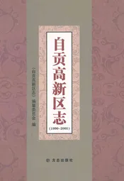 自贡高新区志(1990-2005)