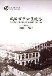 武汉市中心医院志 2010--2015