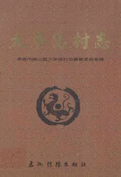 大麦岛村志