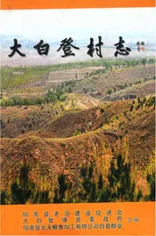 大白登村志