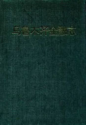 乌鲁木齐金融志