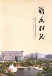 新盛村志