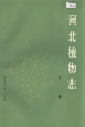 河北植物志 第二卷