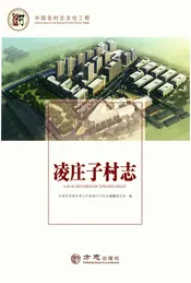 中国名村志丛书-凌庄子村志
