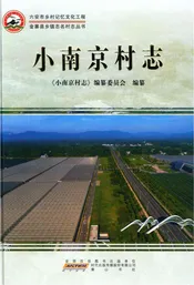小南京村志