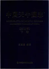中国天牛图志(基础篇)