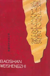 保山市卫生志