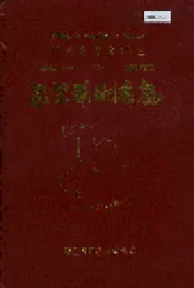广西壮族自治区东兰县地名志