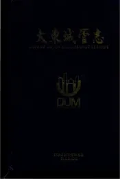 大东城管志