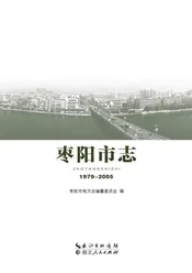 枣庄市志（1979-2005）