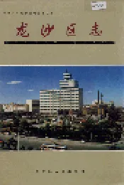 龙沙区志
