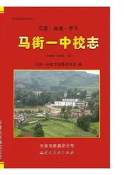 云南曲靖罗平马街一中校志