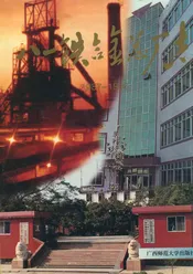 八一铁合金总厂志 (1987-1996)