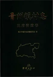青州镇王府街道卷村志