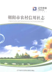 朝阳市农村信用社志