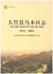 大竹县乌木区志1911-2001