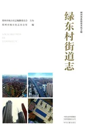 绿东村街道志