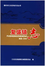 复盛镇志 溯源-2009