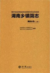 湖南乡镇简志·衡阳市卷（上）